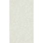 Spring Leaves Wallpaper 216371 by Sanderson in Flint Grey