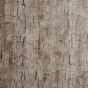 Tree Bark Wallpaper W0062 05 by Clarke and Clarke in Pewter