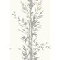 Bamboo Wallpaper 100 5025 by Cole & Son in Charcoal Grey