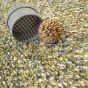 Spring Shaggy Rugs by Brink & Campman 59107