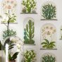 Terrariums Wallpaper 216655 by Sanderson in Chalk Green