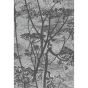 Cow Parsley Wallpaper 8026 by Cole & Son in Charcoal Grey