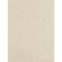Shagreen Wallpaper 312910 by Zoffany in Oyster Beige