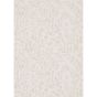 Osier Wallpaper 216412 by Sanderson in Ivory Stone Grey