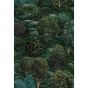 Forest Wallpaper 9028 by Cole & Son in Forest Greens