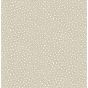 Senzo Spot Wallpaper 6030 by Cole & Son in Stone Grey