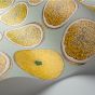 Arance Wallpaper 24048 by Cole & Son in Lemon Seafoam