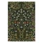 Blackthorn Indoor Outdoor Rugs 428507 by Morris & Co in Thump