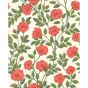 Hampton Roses Wallpaper 7013 by Cole & Son in Rose Red