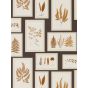Fern Gallery Wallpaper 215713 by Sanderson in Charcoal Spice Brown