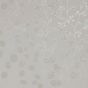 Honesty Wallpaper W0092 04 by Clarke and Clarke in Ivory Natural