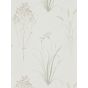 Farne Grasses Wallpaper 216488 by Sanderson in Willow Pebble Beige