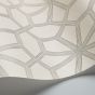 Wolsey Stars Wallpaper 16036 by Cole & Son in Cream White