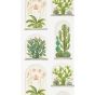 Terrariums Wallpaper 216655 by Sanderson in Chalk Green