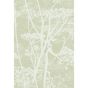 Cow Parsley Wallpaper 8029 by Cole & Son in Olive Green