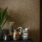 Senzo Spot Wallpaper 6028 by Cole & Son in Charcoal Ginger