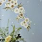 Rosa Wallpaper 112888 by Harlequin in Feather Grey Paper Lantern Oyster