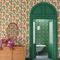 Bougainvillea Wallpaper 117 6016 by Cole & Son in Olive Green