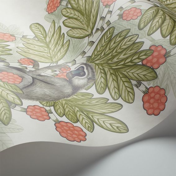 Acacia Wallpaper 11051 by Cole & Son in Olive Green