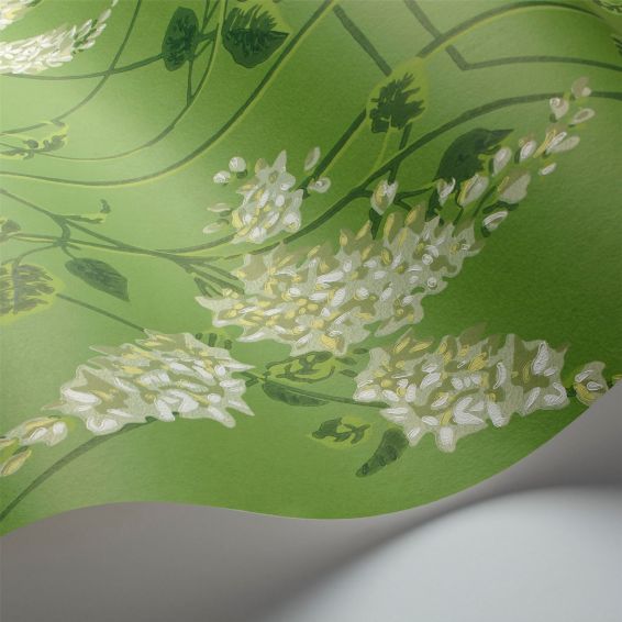 Wisteria Wallpaper 5016 by Cole & Son in Sage Green Leaf Green