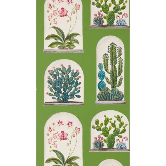 Terrariums Wallpaper 216656 by Sanderson in Botanical Green Multi