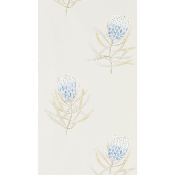 Protea Flower Wallpaper 216327 by Sanderson in China Blue