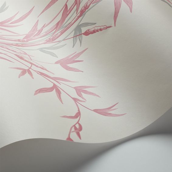 Bamboo Wallpaper 100 5024 by Cole & Son in Pink