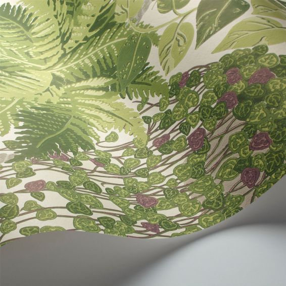 Fern Wallpaper 7021 by Cole & Son in Leaf Green Olive