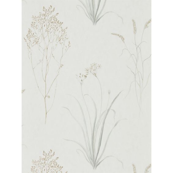 Farne Grasses Wallpaper 216487 by Sanderson in Ivory Silver Grey