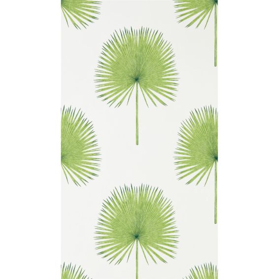 Fan Palm Wallpaper 216636 by Sanderson in Botanical Green