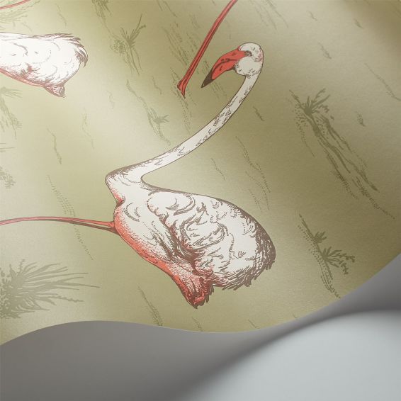 Flamingos Wallpaper 11038 by Cole & Son in Olive Green