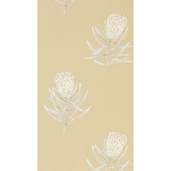 Protea Flower Wallpaper 216331 by Sanderson in Sepia Champagne