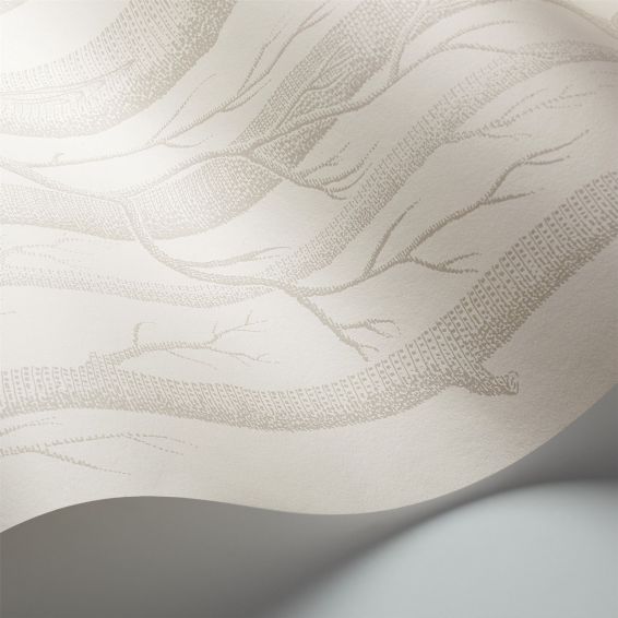 Woods Wallpaper 3011 by Cole & Son in Parchment White