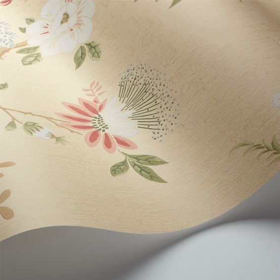 Camellia Wallpaper 8023 by Cole & Son in Coral Sage
