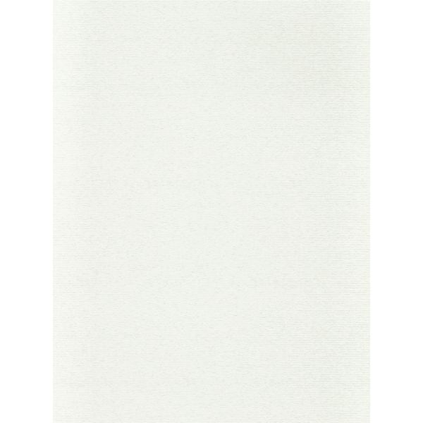 Ormonde Wallpaper 312927 by Zoffany in Snow White