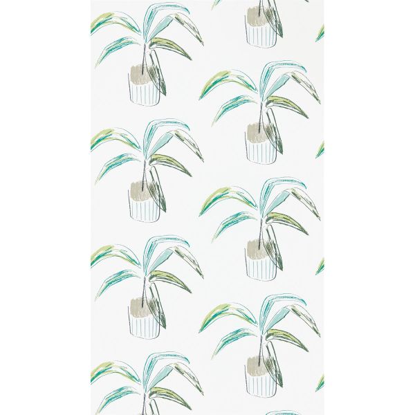 Crassula Wallpaper 111993 by Scion in Juniper Lime Green