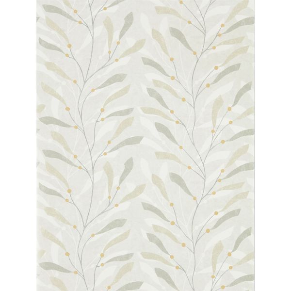Sea Kelp Wallpaper 216569 by Sanderson in Driftwood Slate