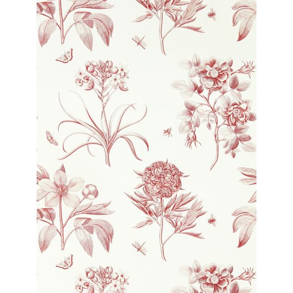 Etchings & Roses Wallpaper 217053 by Sanderson in Amanpuri Red