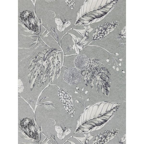 Amborella Wallpaper 111223 by Harlequin in Steel Grey