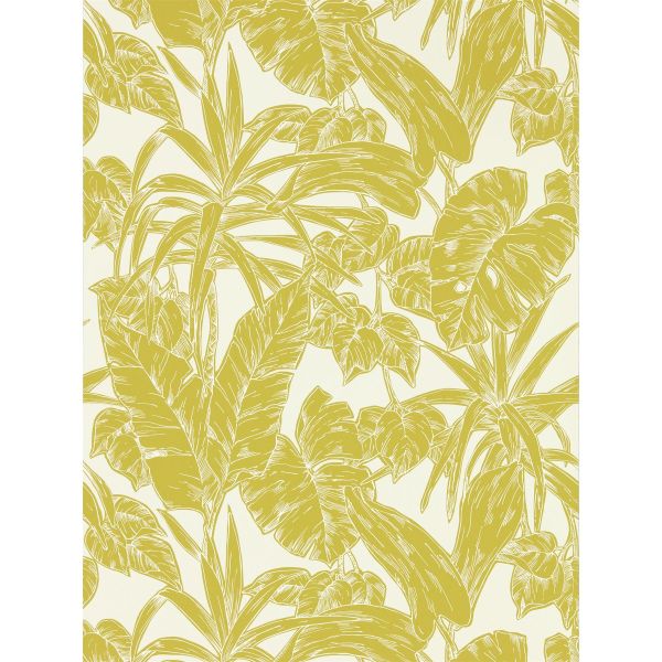 Parlour Palm Wallpaper 112022 by Scion in Citrus Yellow