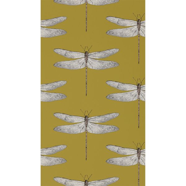 Demoiselle Wallpaper 111244 by Harlequin in Ochre Grape Purple