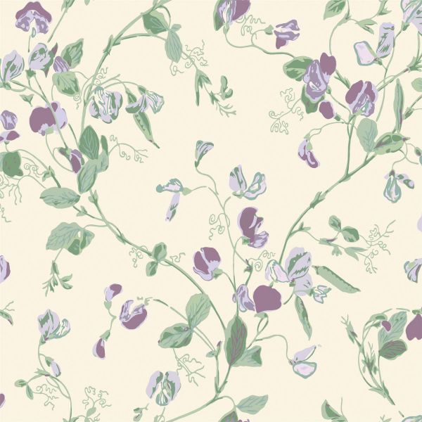 Sweet Pea Wallpaper 100 6030 by Cole & Son in Violet Purple