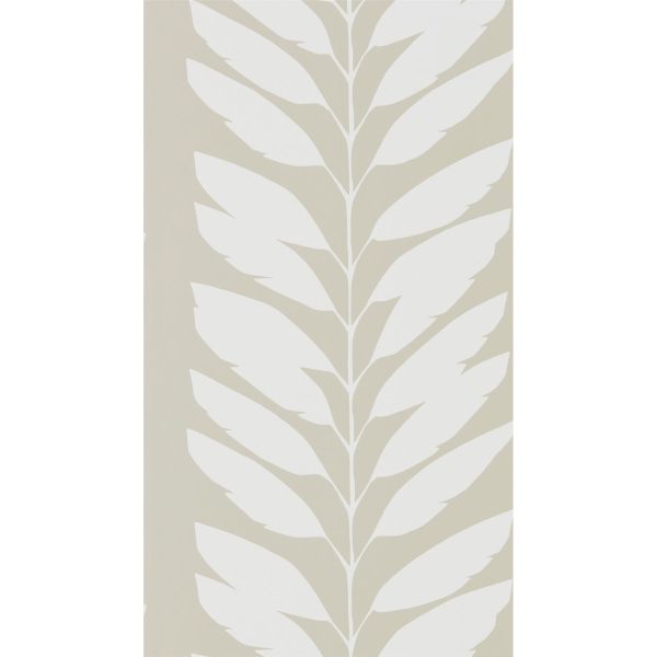 Malva Leaf Wallpaper 111312 by Scion in Parchment Grey