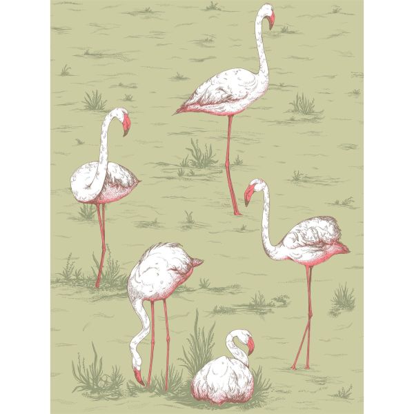 Flamingos Wallpaper 11038 by Cole & Son in Olive Green