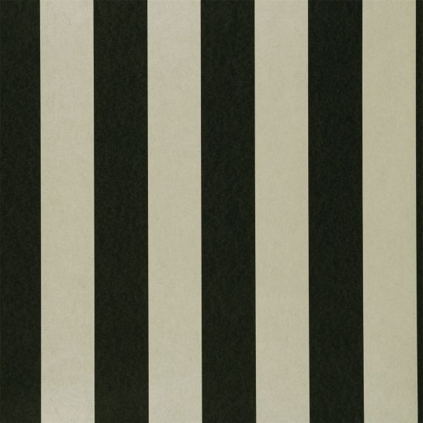 Nevis Wallpaper W0085 02 by Clarke and Clarke in Ebony Black