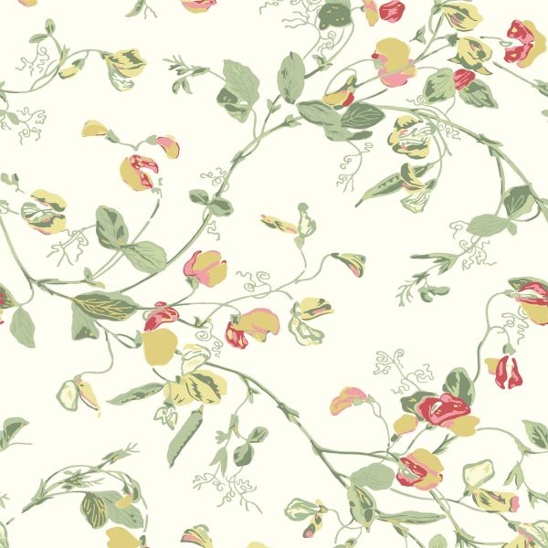 Sweet Pea Wallpaper 100 6027 by Cole & Son in Pink Yellow