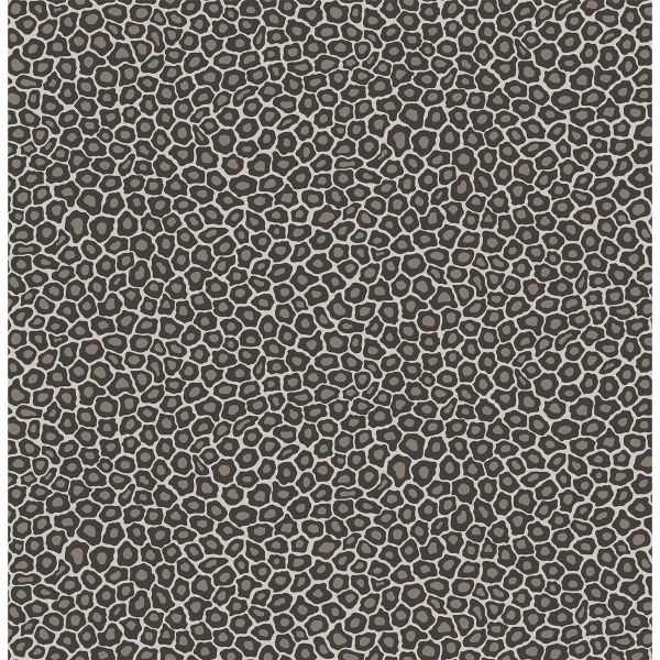 Senzo Spot Wallpaper 6031 by Cole & Son in Soot Snow