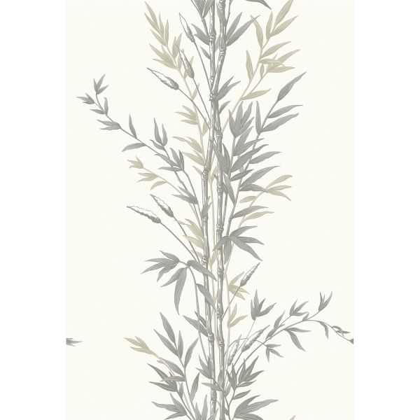 Bamboo Wallpaper 100 5025 by Cole & Son in Charcoal Grey