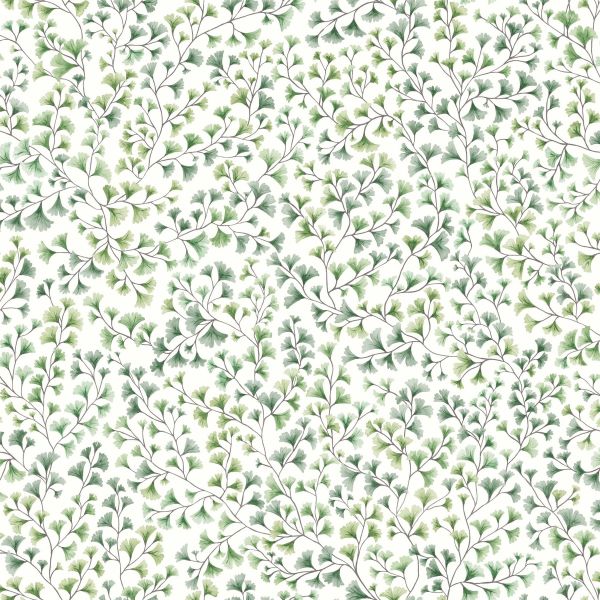 Maidenhair Wallpaper 6018 by Cole & Son in Olive Green