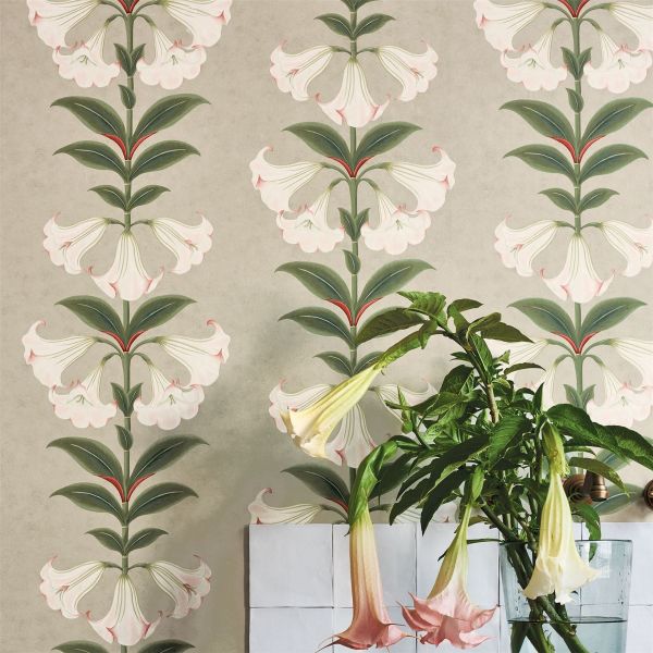 Angels Trumpet Wallpaper 117 3007 by Cole & Son in Stone Beige